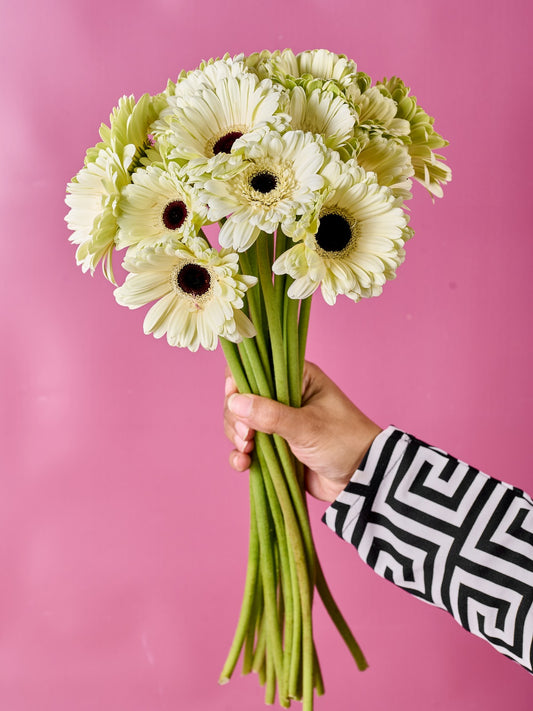 15 White Gerbera Bouquet