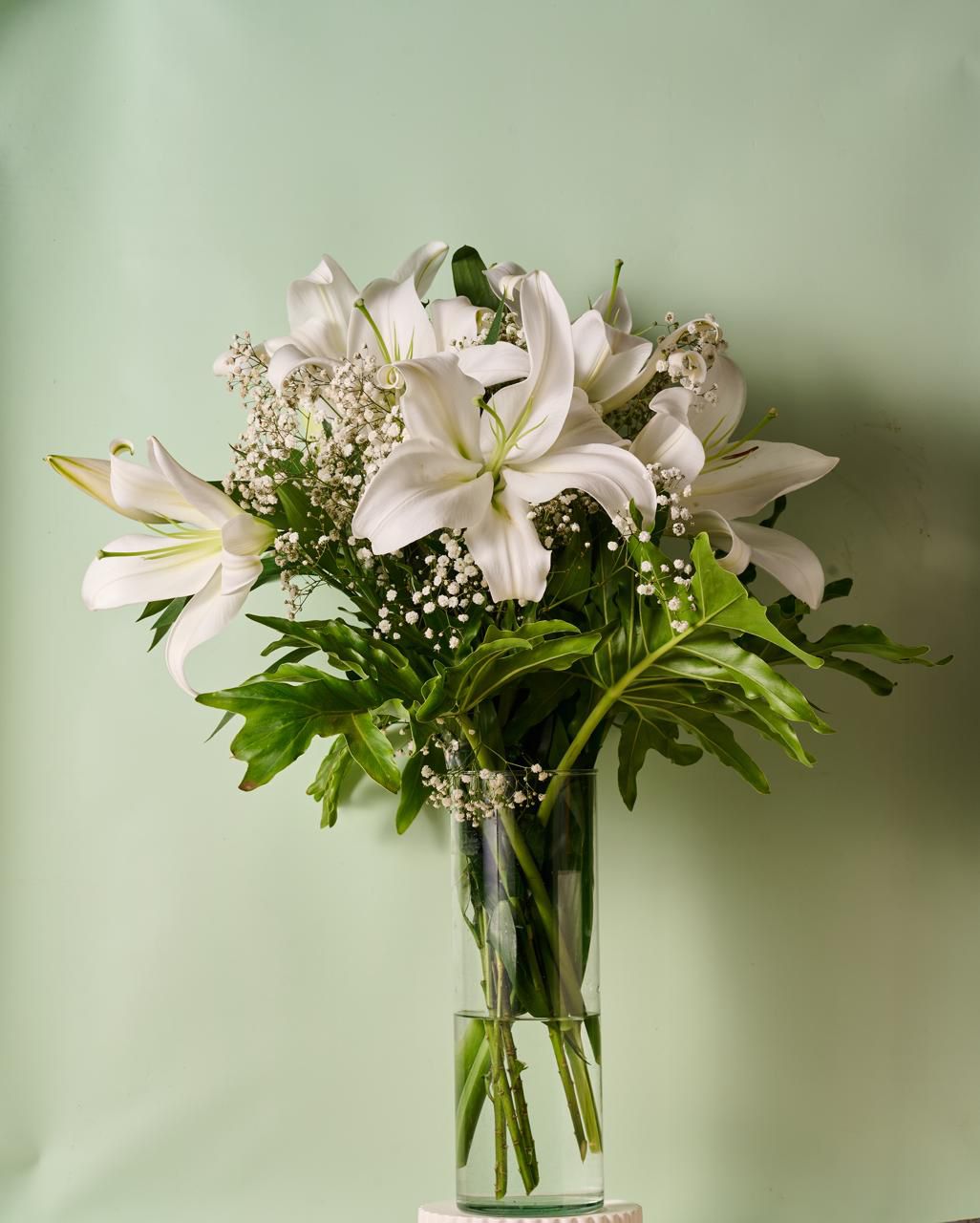 White lilles in vase